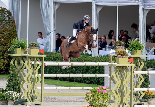 Ermitage Kalone v. Catoki a.d. Bellaventure Kalone v. Kannan | Züchter: Magali Dessalles, Frankreich | © Oliwia Chmielewska