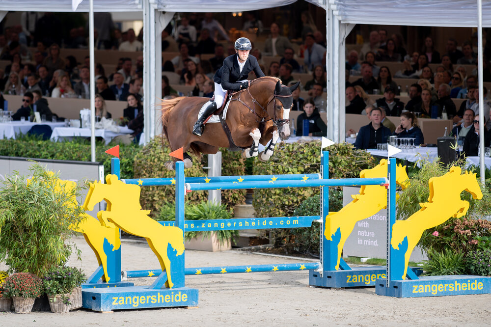 Ermitage Kalone v. Catoki a.d. Bellaventure Kalone v. Kannan | Züchter: Magali Dessalles, Frankreich | © Oliwia Chmielewska