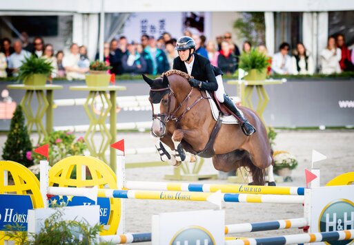 Ermitage Kalone v. Catoki a.d. Bellaventure Kalone v. Kannan | Züchter: Magali Dessalles, Frankreich | © Oliwia Chmielewska