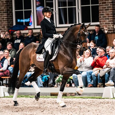 Federer by Farrell out of Lillyfee by Livaldon x Canstakko | Breeder: Wienke Winkelmann, Wurster Nordseeküste 