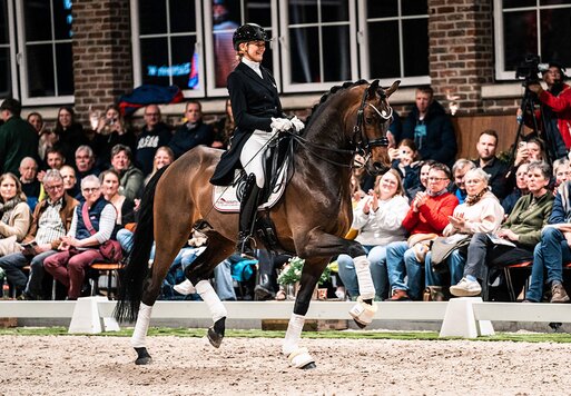 Federer by Farrell out of Lillyfee by Livaldon x Canstakko | Breeder: Wienke Winkelmann, Wurster Nordseeküste 
