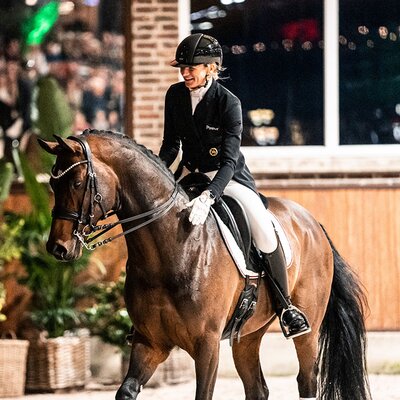 Federer by Farrell out of Lillyfee by Livaldon x Canstakko | Breeder: Wienke Winkelmann, Wurster Nordseeküste 