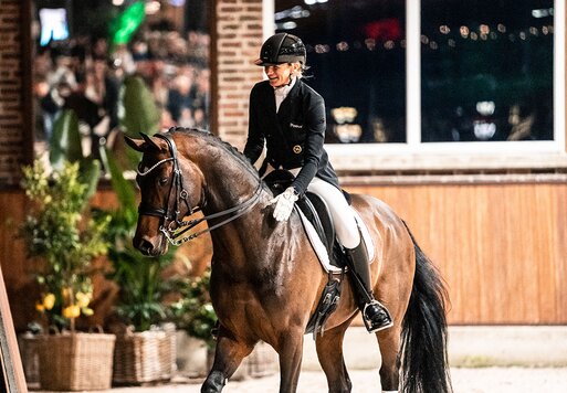 Federer by Farrell out of Lillyfee by Livaldon x Canstakko | Breeder: Wienke Winkelmann, Wurster Nordseeküste 