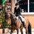 Federer by Farrell out of Lillyfee by Livaldon x Canstakko | Breeder: Wienke Winkelmann, Wurster Nordseeküste 