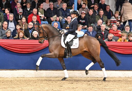 Federer von Farrell aus der Lillyfee von Livaldon x Canstakko | Züchterin: Wienke Winkelmann, Wurster Nordseeküste