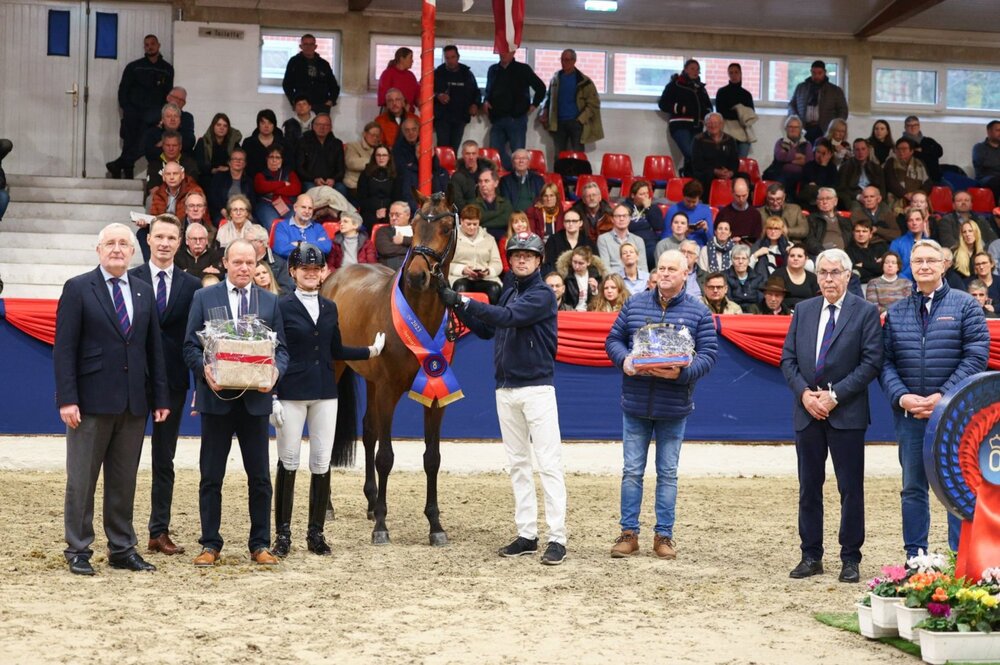 Federer von Farrell aus der Lillyfee von Livaldon x Canstakko | Züchterin: Wienke Winkelmann, Wurster Nordseeküste