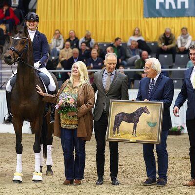 Federer by Farrell out of Lillyfee by Livaldon x Canstakko | Breeder: Wienke Winkelmann, Wurster Nordseeküste 