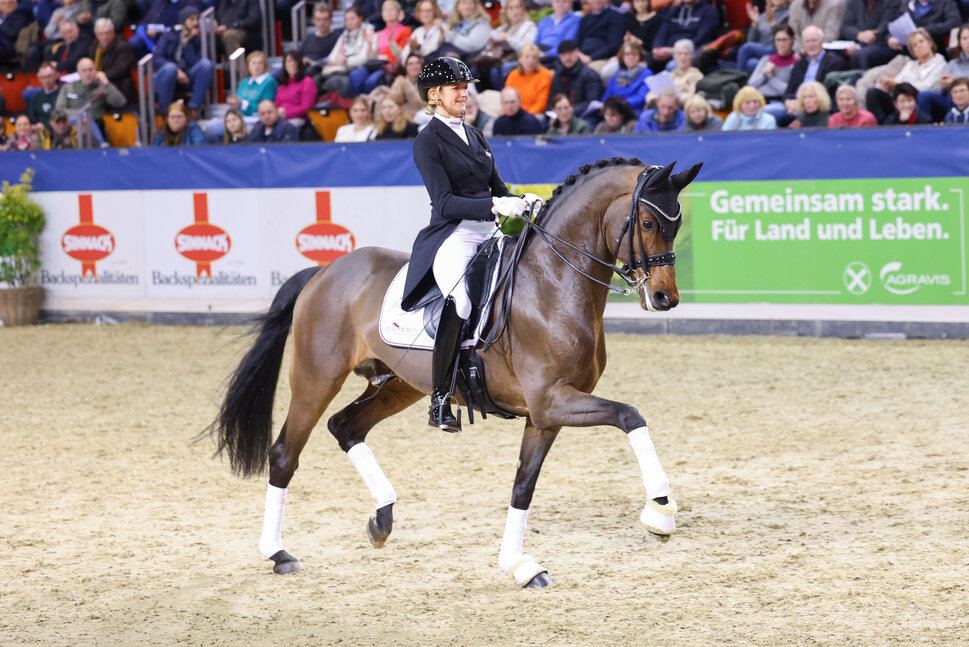 Federer by Farrell out of Lillyfee by Livaldon x Canstakko | Breeder: Wienke Winkelmann, Wurster Nordseeküste  | © LL-Foto