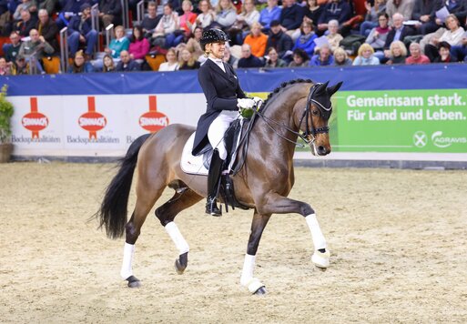 Federer von Farrell aus der Lillyfee von Livaldon x Canstakko | Züchterin: Wienke Winkelmann, Wurster Nordseeküste | © LL-Foto