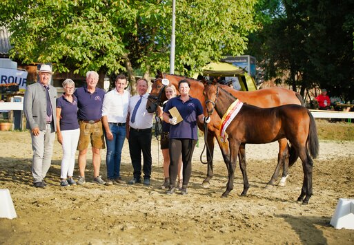 Fohlenchampion Federspiel VH von Federer aus der Aisha von Fritz Roy - Long Way | Züchterin: Vera Hohenwarter, Österreich