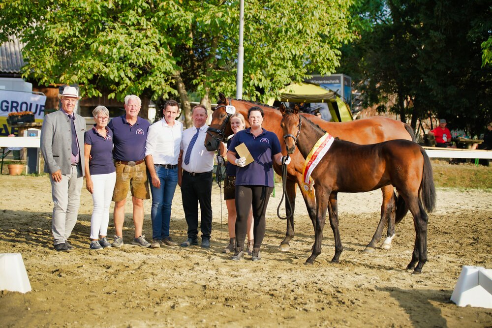 Fohlenchampion Federspiel VH von Federer aus der Aisha von Fritz Roy - Long Way | Züchterin: Vera Hohenwarter, Österreich