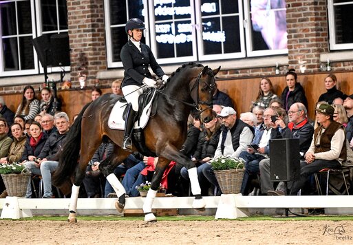 Fine Future von Federer aus der Bonita von Ampère - Donnerschwee | Züchter: Gerd Sosath, Lemwerder