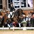 Fine Future by Federer out of Bonita by Ampère - Donnerschwee | Breeder: Gerd Sosath, Lemwerder