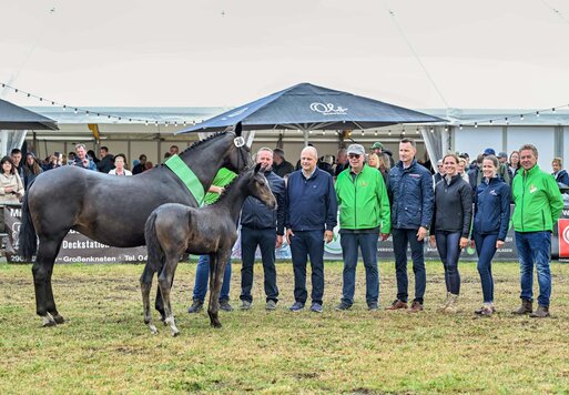Filly by Fine Future out of Standing Ovation SN by Stoiber SN - Damon Hill | Breeder: Dieter Schmidt, Hude