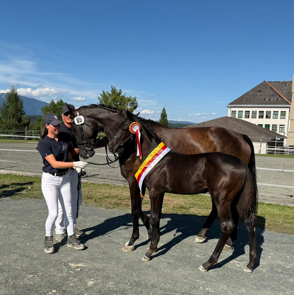Vitalia GW by Fine Future out of Vlaya by Florenz - Stedinger | Breeder: Andreas Zettl