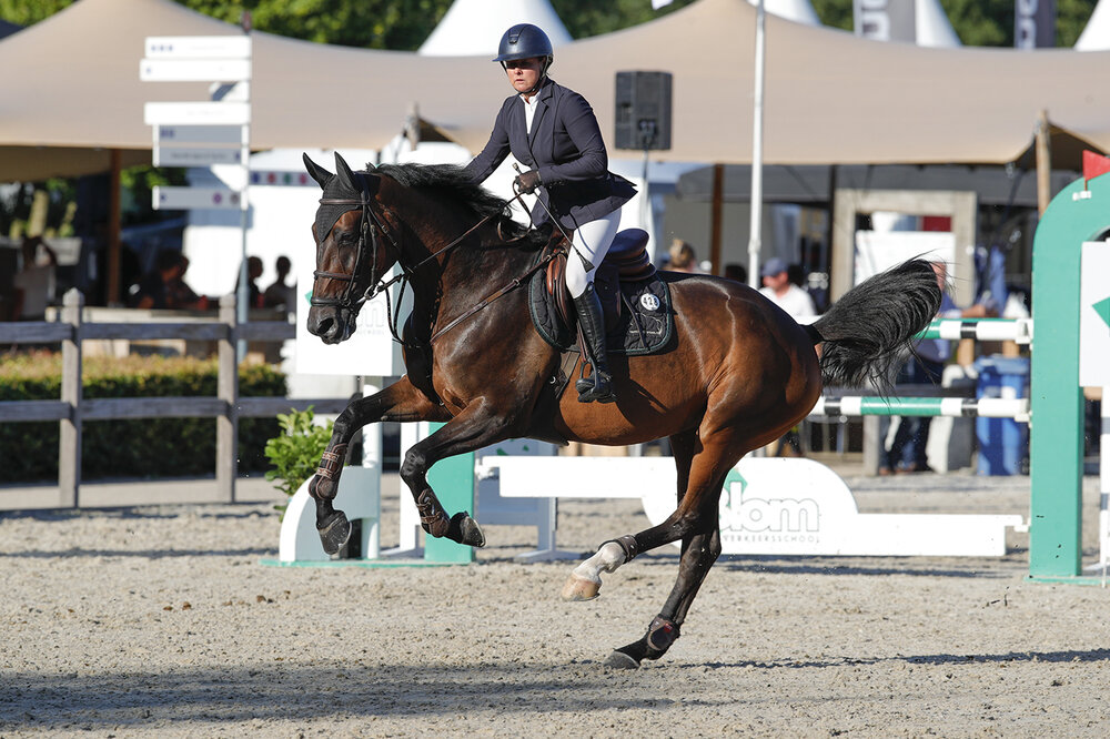 Milestone T von Finishing Touch aus der Glory T von Quality Time TN - Espri | Züchter: Herman van Triest, Niederlande | © Jeroen Spoolder