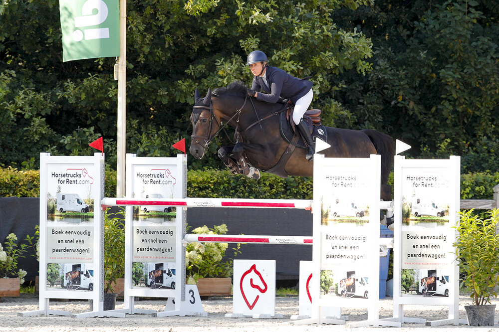 New Touch von Finishing Touch aus der Onea-D von Indoctro - Wolfgang | Züchter: E. Santing, Niederlande