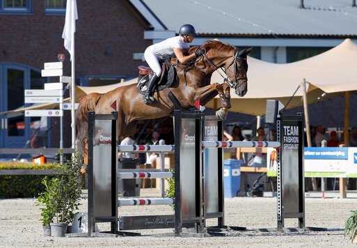 Magic Touch von Finishing Touch aus der Ureen Latano v. Ferro - Latano I | Züchter: A.J. Klein & Stal van den Berg, Niederlande | © Jeroen Spoolder