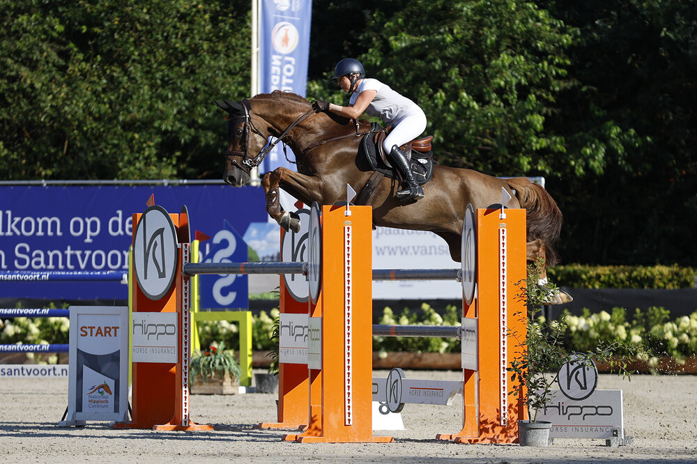 Magic Touch von Finishing Touch aus der Ureen Latano v. Ferro - Latano I | Züchter: A.J. Klein & Stal van den Berg, Niederlande | © Jeroen Spoolder