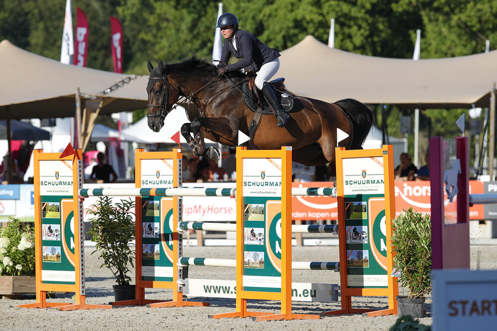 Milestone T von Finishing Touch aus der Glory T von Quality Time TN - Espri | Züchter: Herman van Triest, Niederlande