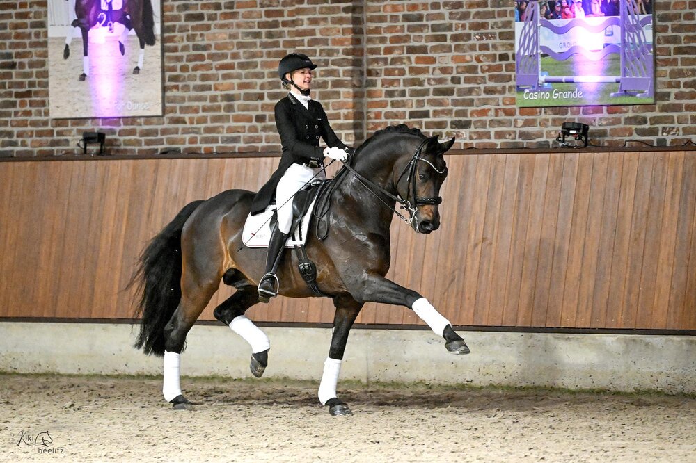 For Dance von For Romance aus der Reverie von Rubiloh - Ehrentusch |Züchter: ZG Butkus, Overath   