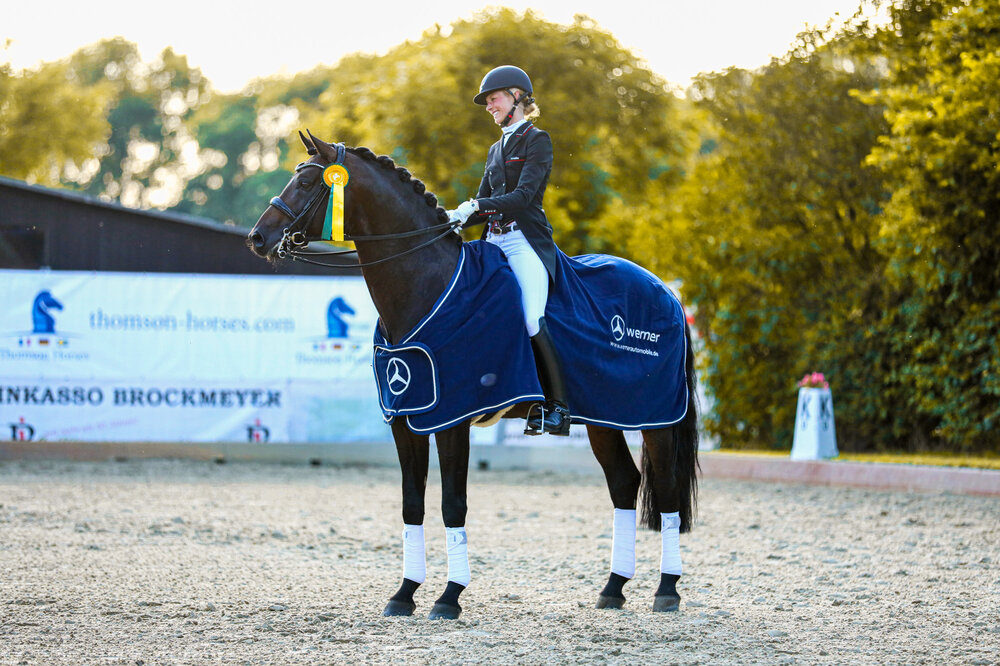 For Dance von For Romance aus der Reverie von Rubiloh - Ehrentusch | Züchter: ZG Butkus, Overath