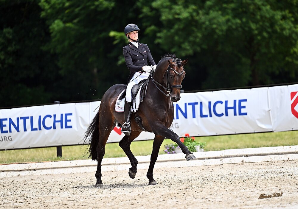 For Dance by For Romance out of Reverie by Rubiloh - Ehrentusch | Breeder: ZG Butkus, Overath  