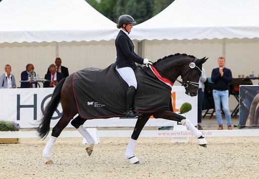 Westfalenchampionesse For Joy von For Dance aus der Dressed in Black von Detroit x Christiano | Züchterin: Andrea Krehenwinkel