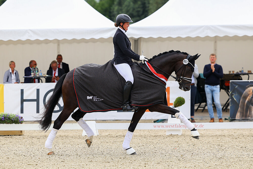 Westphalian champion For Joy by For Dance out of Dressed in Black by Detroit x Christiano | Breeder: Andrea Krehenwinkel Photo: LL-Foto