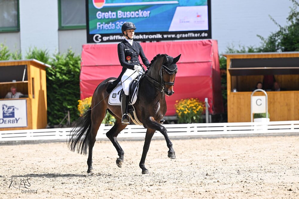 Vize-Bundeschampionesse Frieda von For Dance aus der Franca von Fidermark - Wesley | Züchter: Otto Klewitz