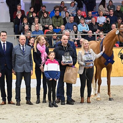 Reservesiegerhengst OS 2025 von For my Pleasure a.d. Heidi v. Untouchable - Stakkato | Züchterin: Francie Siegmund, Datzetal