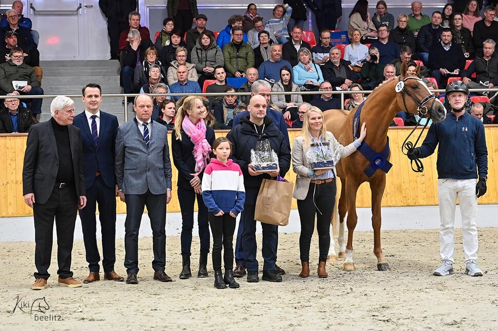 Reservesiegerhengst OS 2025 von For my Pleasure a.d. Heidi v. Untouchable - Stakkato | Züchterin: Francie Siegmund, Datzetal