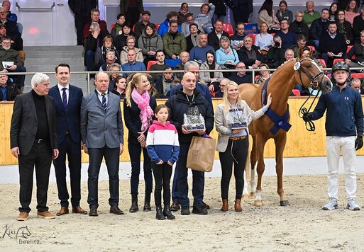 Reservesiegerhengst OS 2025 von For my Pleasure a.d. Heidi v. Untouchable - Stakkato | Züchterin: Francie Siegmund, Datzetal