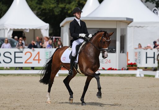 Vize-Weltmeisterin der 6-jährigen Dressurpferde: Brandtbjergs Divya von Donkey Boy a.d. Brandtbjergs Oasis v. Don Olymbrio - Blue Hors Zack | Züchter: Familie Buhl