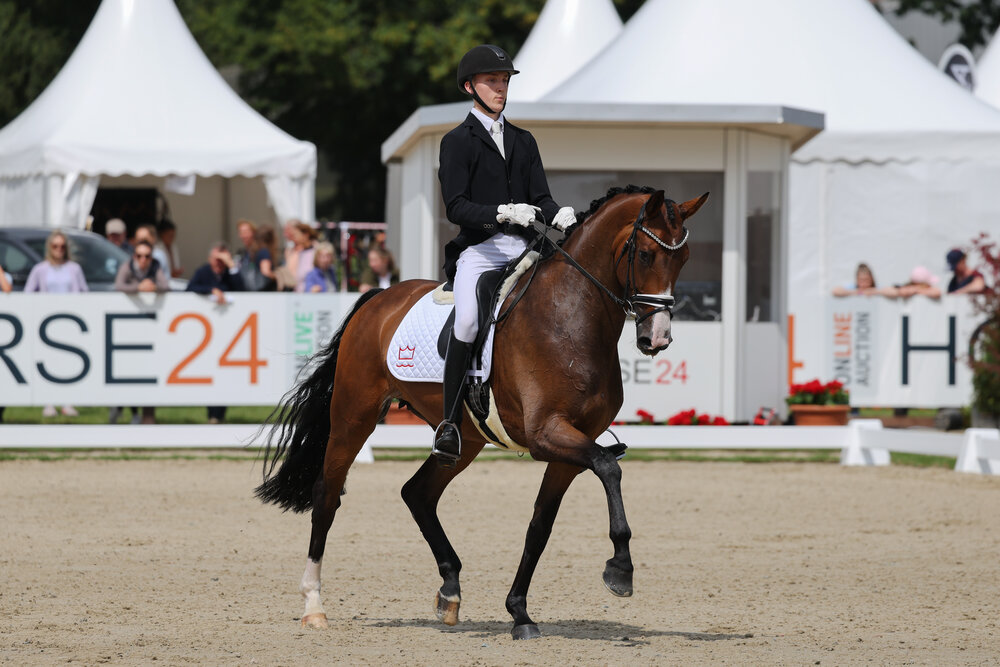 Vize-Weltmeisterin der 6-jährigen Dressurpferde: Brandtbjergs Divya von Donkey Boy a.d. Brandtbjergs Oasis v. Don Olymbrio - Blue Hors Zack | Züchter: Familie Buhl