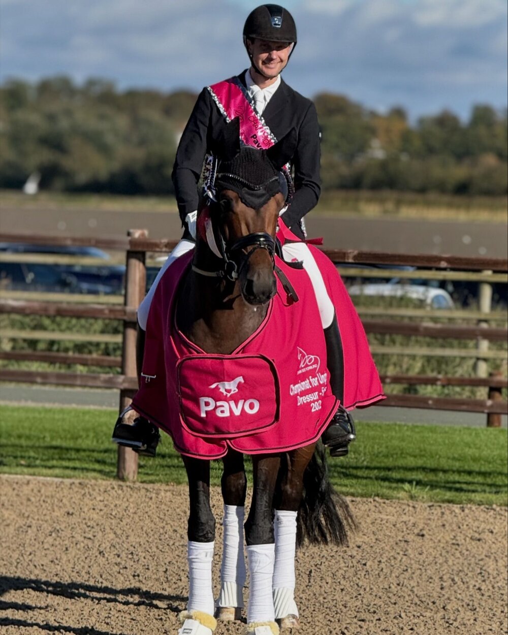 Hot Driver von Donkey Boy ist Champion bei den 5-jährigen Hengsten in Dänemark