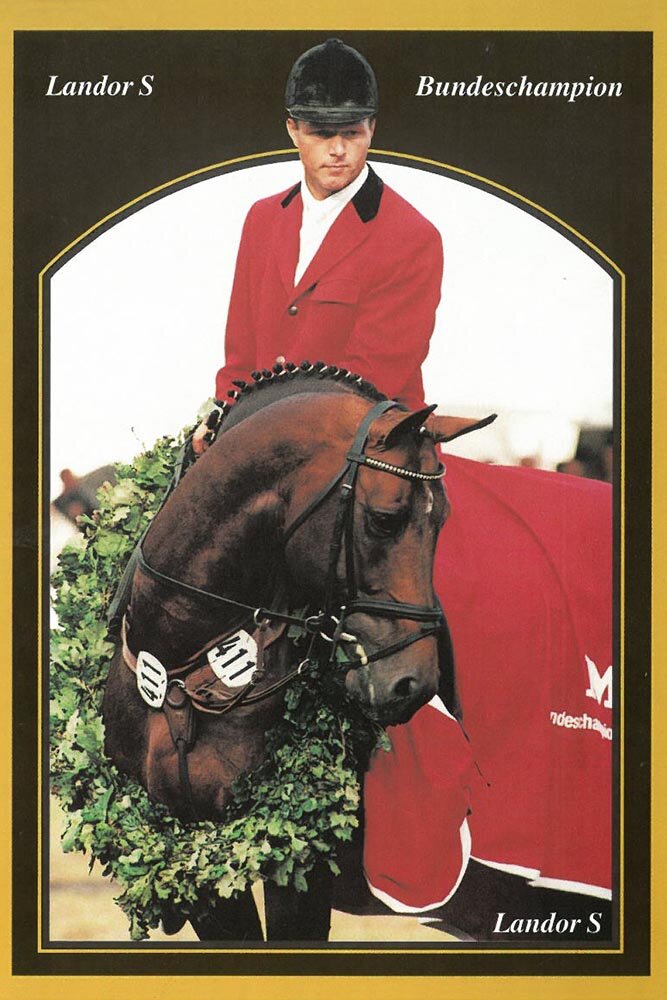 Landor S von Landadel aus der Fureida 2 von Godehard - Furioso II | Züchter: Gerd Sosath, Lemwerder 