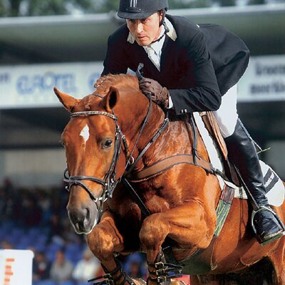 Successful in Belgium: Wandor van de Mispelaere *1999 by Landor S out of Sister Pleasure Mispelaere by For Pleasure - Lugano van la Roche | Breeder: ZG Vermeulen, Belgium