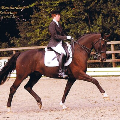 Successful in Inter. I: Isabell Dinklage and Lagrando *1995 von Landor S out of Filorell by Lord Liberty - Gepard | Breeder: Gerd Sosath, Lemwerder (Germany)