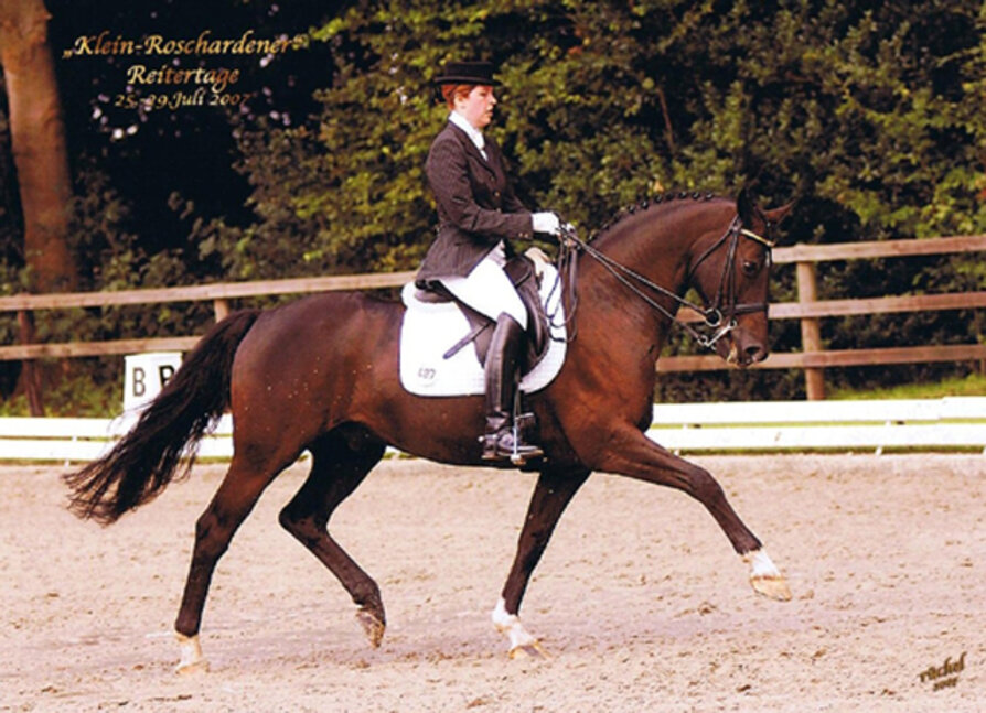 Successful in Inter. I: Isabell Dinklage and Lagrando *1995 von Landor S out of Filorell by Lord Liberty - Gepard | Breeder: Gerd Sosath, Lemwerder (Germany)