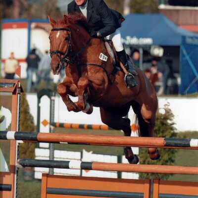 Successful with amateur Gerd Wehlau: Lagero *1999 by Landor S out of Estera by Espri - Weckruf | Breeder: Gerd Wehlau, Nordenham (Germany)
