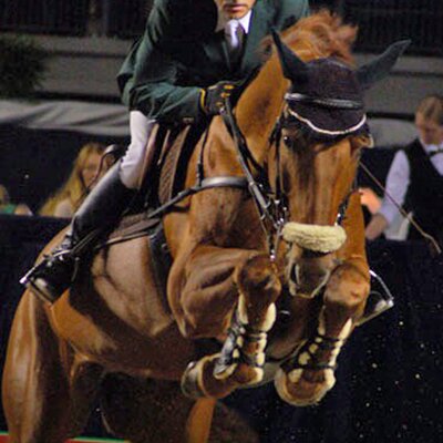 Placements and victories at international shows for La Pass La Pass *2001 by Landor S - Cordalmé; 
Breeder: Claudia Hohhensee