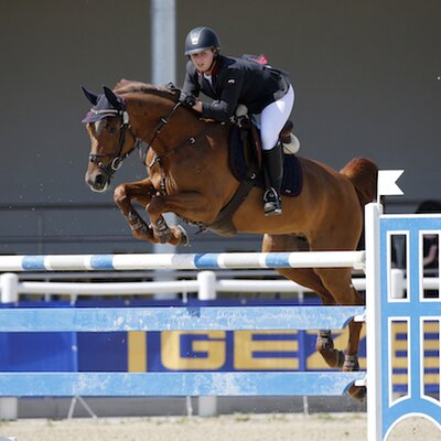 Levante by Landor S out of Wanda by Wendekreis - Grande | Breeder: Angelika Piepenbrink, Schwanefeld (Germany)