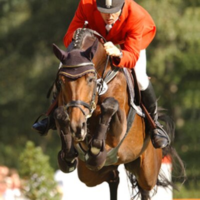 Licensed stallion Largeur *2000 by Landor S out of Feldfrucht II by Argentinus - Tiro | Breeder: Dirk Meiners, Ganderkesee (Germany)