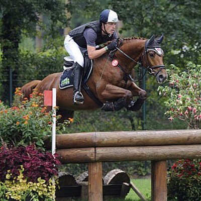 Bundeschampion of eventers: Le Carré *2002 by Landor S out of Rebecca by Raphael - Nebelwerfer and Kai Rüder | Breeder: Franz-Josef Richardt, Rodeberg (Germany)