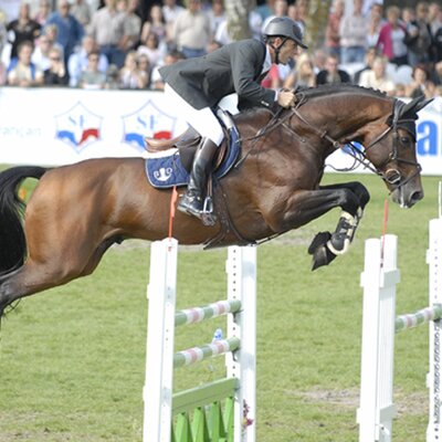 Successful in France: Philippe Rozier und Lauterbach *2001 by Landor S out of Coco by Contender - Famos | Breeder: Katja Rellecke, Hamm (Germany)