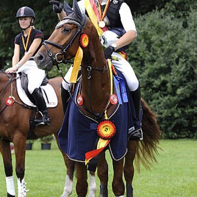 Bundeschampion of eventers: Le Carré *2002 by Landor S out of Rebecca by Raphael - Nebelwerfer and Kai Rüder | Breeder: Franz-Josef Richardt, Rodeberg (Germany)