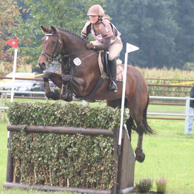 Weser- Ems Champion in eventing: Valentina *1999 by Landor S out of Variell by Volturno - Furioso II | Breeder: Aisse Busemann, Leer (Germany)