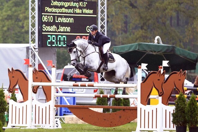 Levisonn von Levisto aus der Melodie VIII von Lennon - Roman | Züchter: Witt Pferdezucht GbR, Wellinghusen