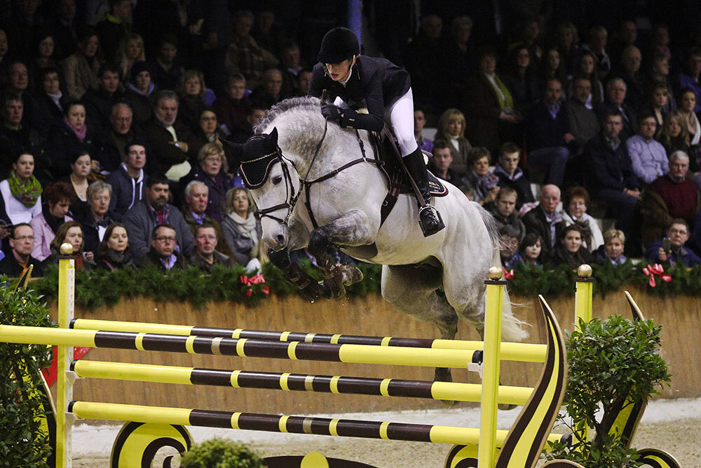 Levisonn by Levisto out of Melodie VII by Lennon - Roman | Breeder: Witt Pferdezucht GbR, Wellinghusen (Germany)